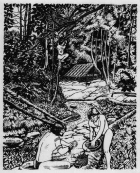 Plants.jpg (43608 bytes)