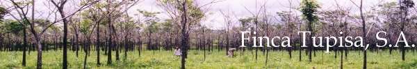 Finca Tupisa, S.A.